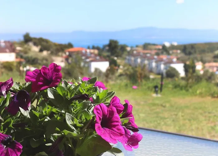 Hilltop 8 Ханиоти